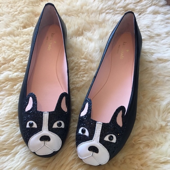 boston terrier flats